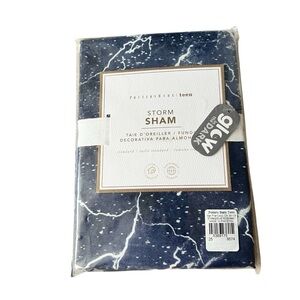 Pottery Barn Teen Storm Glow In The Dark Standard Shams Night Sky New